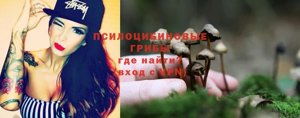 ешки Алзамай