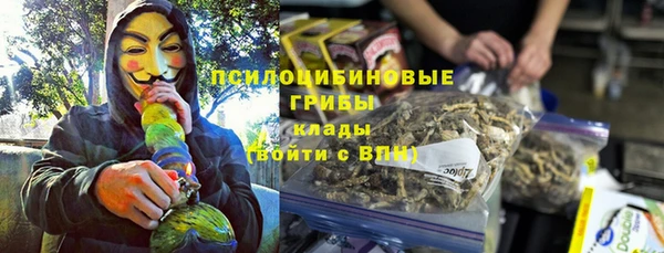 spice Гусь-Хрустальный