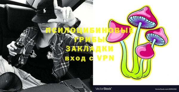 ешки Алзамай